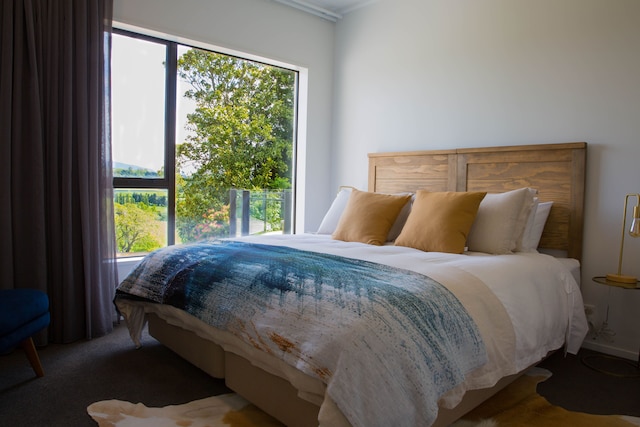 レイクビュー ロッジ カラピロ