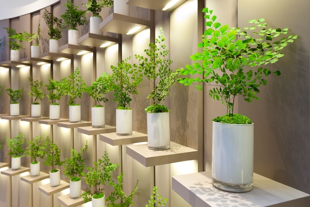 ホテル コンデス デ バルセローナ