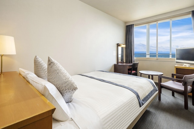 亀の井ホテル 彦根