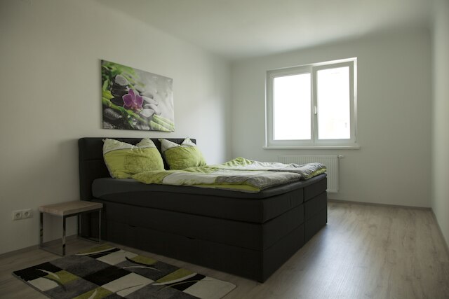 ヴィエナフラッツ - アパートメント プラーター