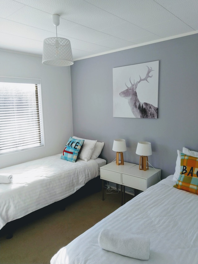 ブラムス バッチ