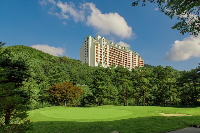 ヤンジ パイン リゾート