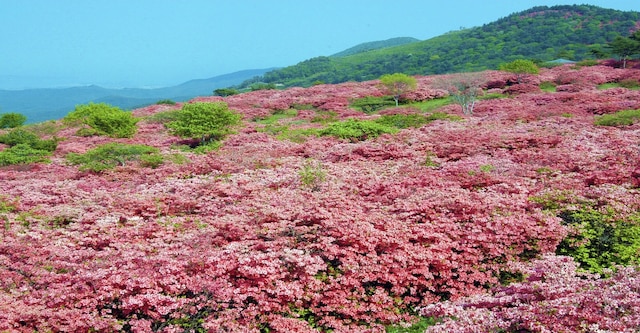 ホテルパールシティ気仙沼