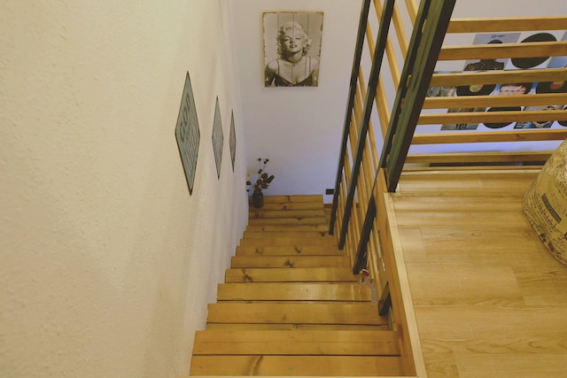 シンプル パレス - ホステル (西圃民宿)