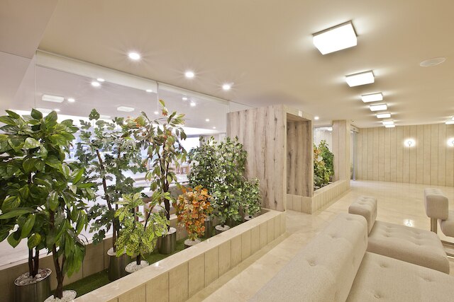 セナリア ホテル