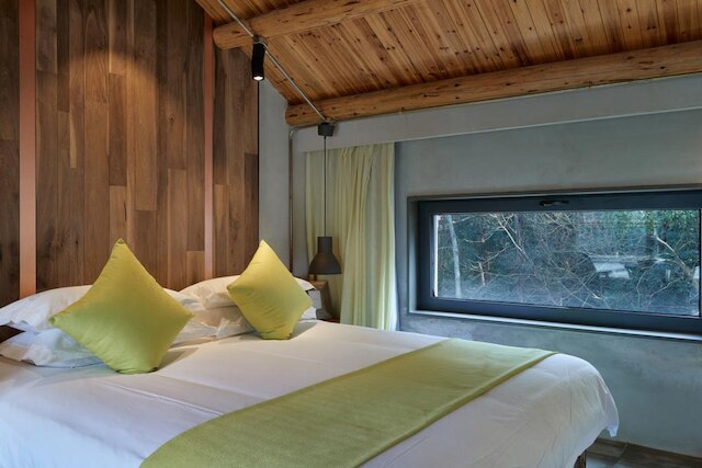 シフゥ メモリーズ ツリー ホテル