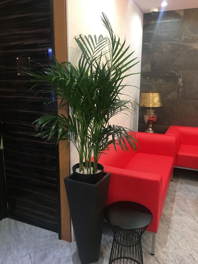 グローバル ホテル 東京