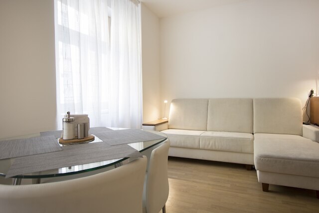 ラグジュリアス アパートメント ニア プラハ キャッスル