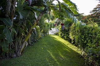 ソーレ バイ アンディアニ