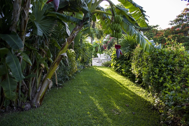 ソーレ バイ アンディアニ