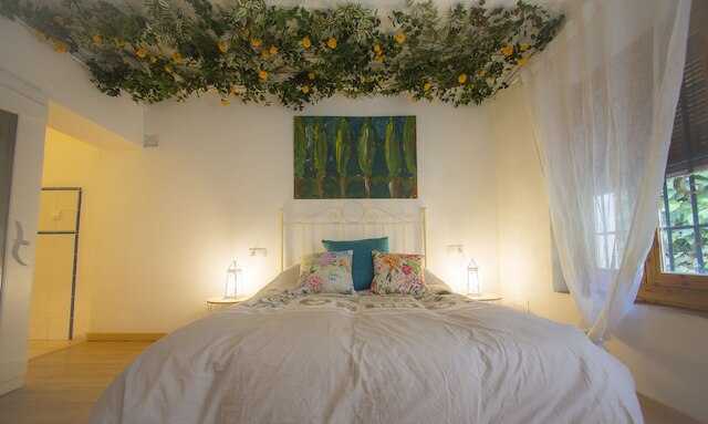 ガーラ プラシーダ エクスペリエンス 1923