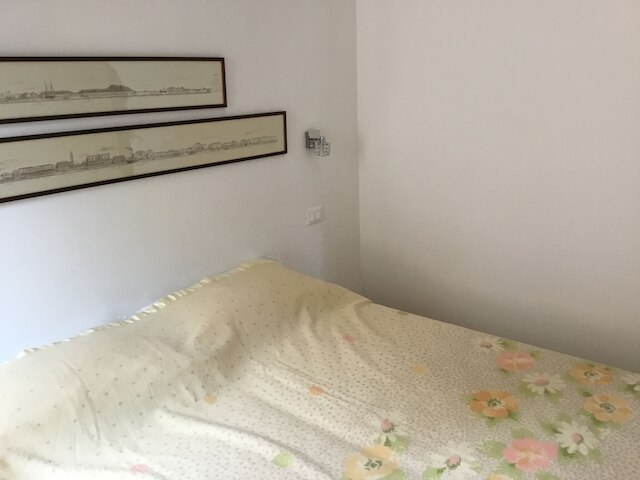 ヴェネツィア カエ デア ラナ