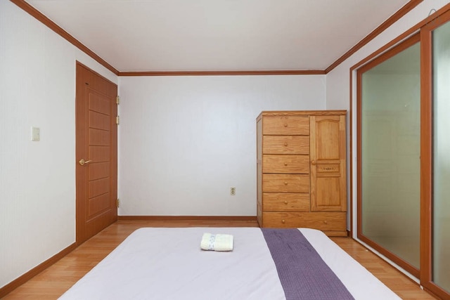 ギャラクシー ハンティ コージー 江南