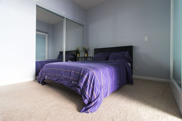 バケーション イン トロント スイーツ