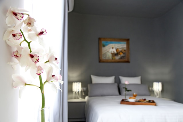 マイ アテネス ハウス