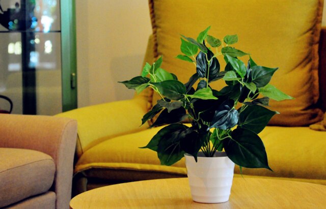 ウエストレイク ロンシャン ブティック ホテル (杭州西湖陇上精品酒店)