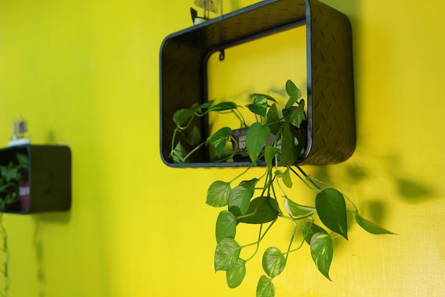 フラワーリン (花宅休閒民宿)