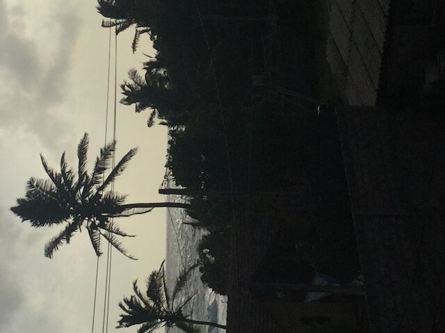 ホワイト ベイビー ビーチ レスト