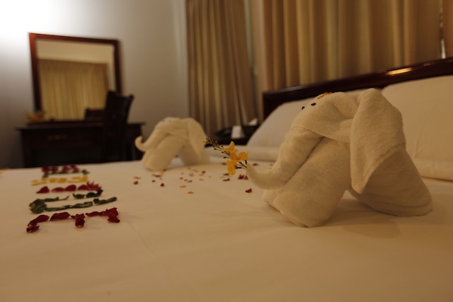 バーチュー ハイランド ホテル