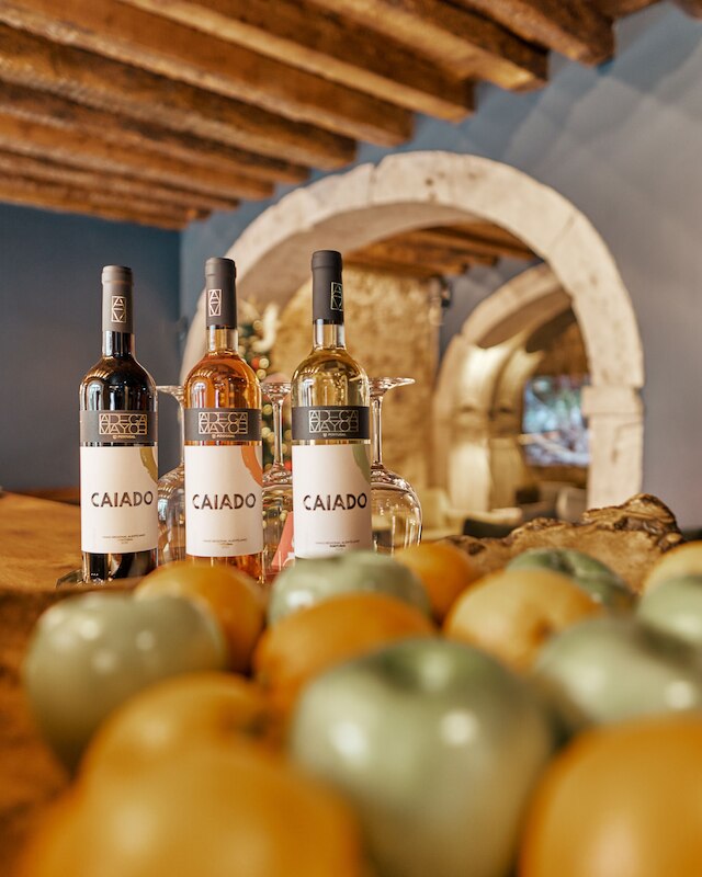 ダーレ リスボン ハウス