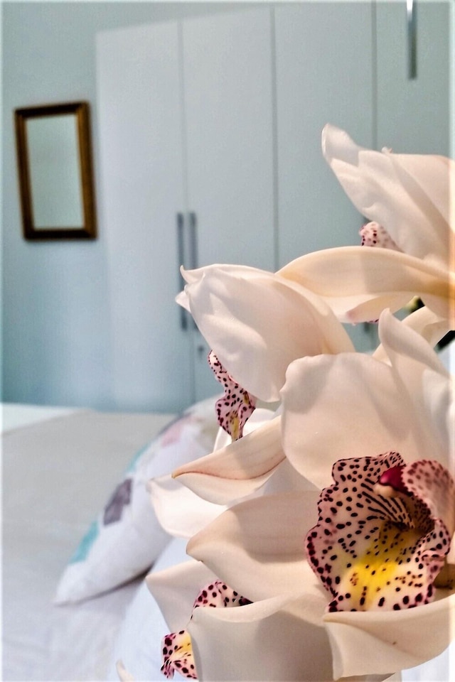 ラ・コルテ・デイ・ナヴィガンティB&B - アマルフィコースト - チェタラ