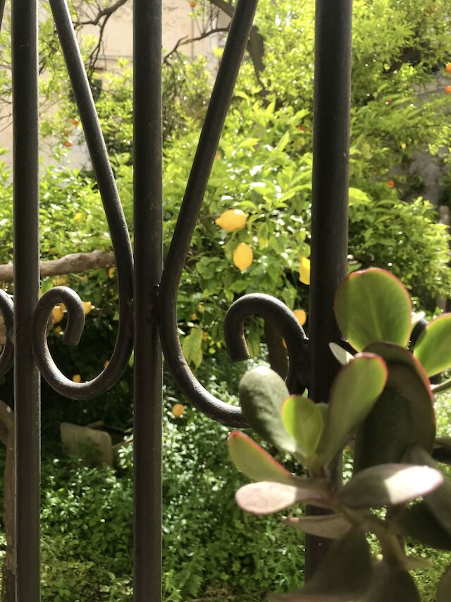 ラ・コルテ・デイ・ナヴィガンティB&B - アマルフィコースト - チェタラ