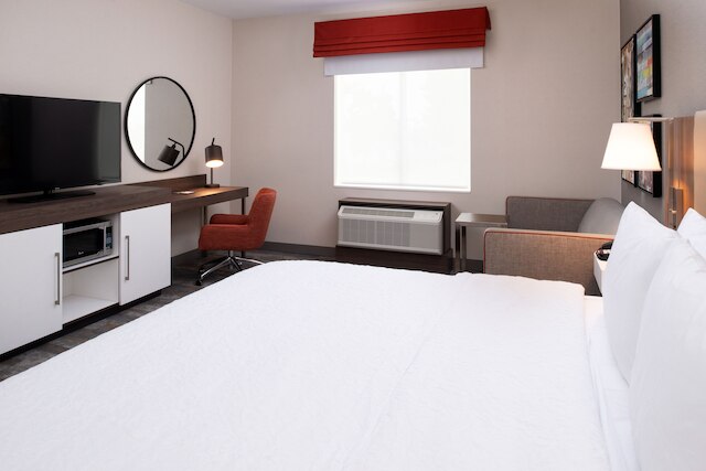 ハンプトン イン & スイーツ ブエナ パーク