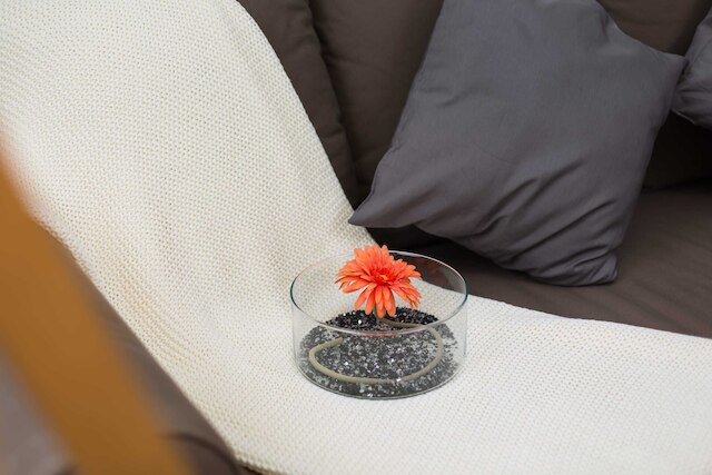 タイムズ スクエア 1 バイ プラッシュ