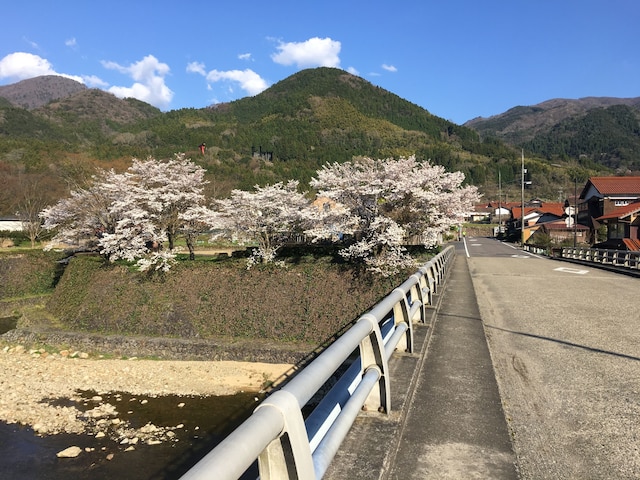 食堂民宿　さと山