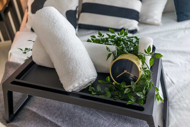 ザ ロバートソン 1