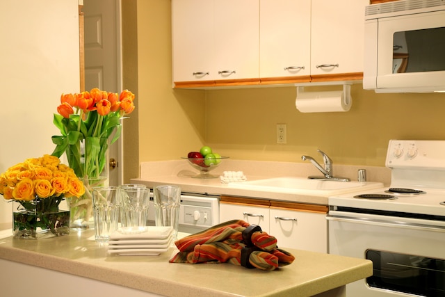 ジョッキー クラブ スイーツ