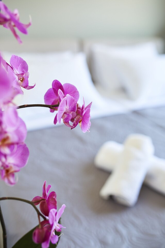 ザ アテネ ヴェルシオン ラグジュアリー スイーツ