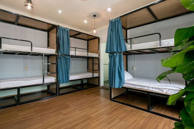 リトル ピッグ ホーム - ホステル