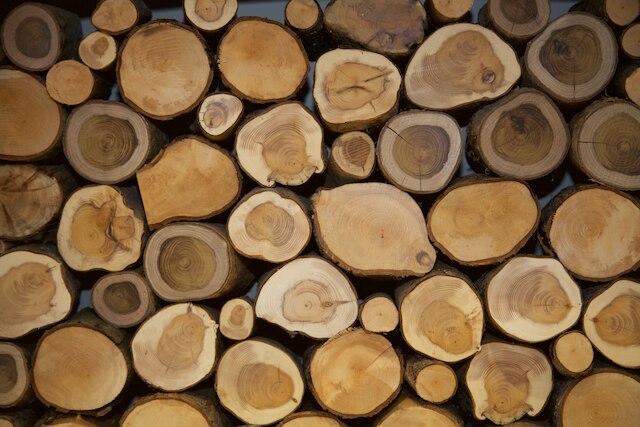 1 ベッドルーム アパートメント ニア キングス ロード