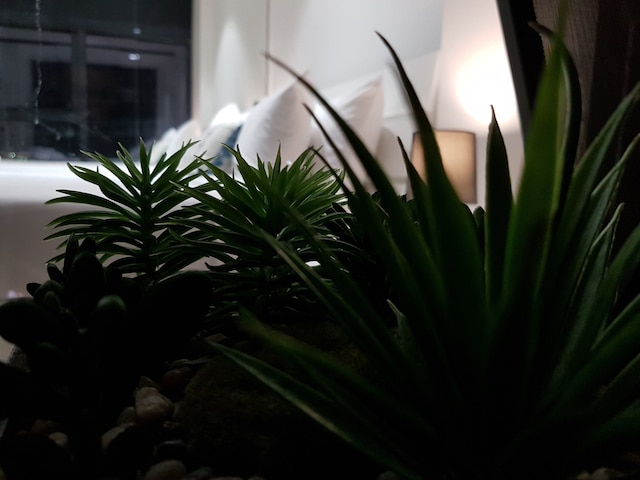 グッド スポット メルボルン