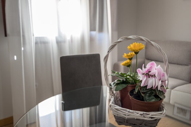 アルハマル センター