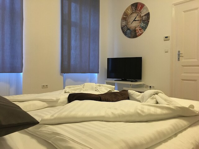 ユナイテッド ホームズ アパートメンツ ウィーン