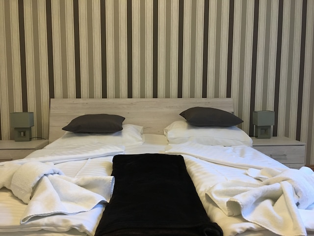 ユナイテッド ホームズ アパートメンツ ウィーン