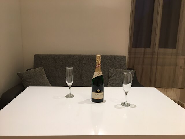 ユナイテッド ホームズ アパートメンツ ウィーン