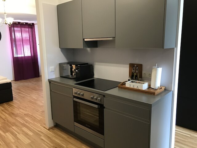 ユナイテッド ホームズ アパートメンツ ウィーン