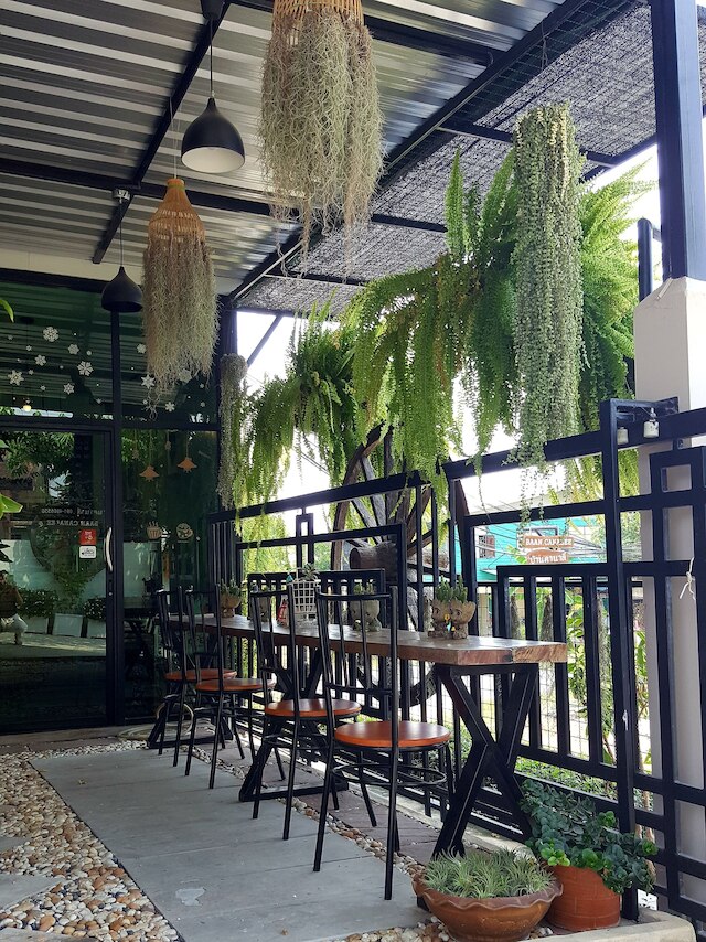 バーン カナリー