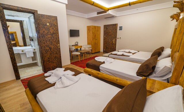 パシャ パレス ホテル