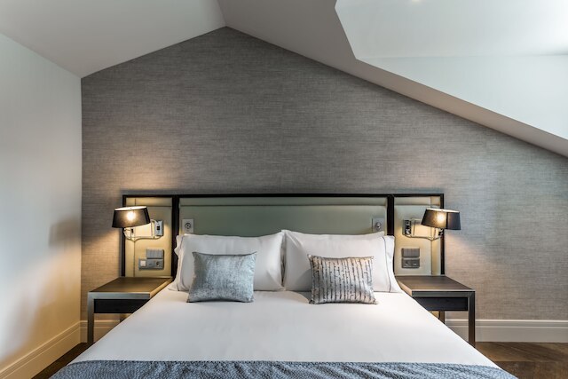 ルーム メイト コレクション ゴルカ、サン セバスティアン