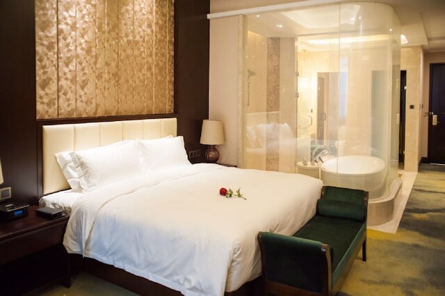 ザ フィティン コレクション