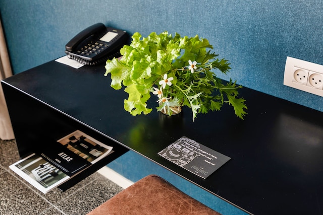 ファブリック  ホテル - アアトラス ブティック  ホテル