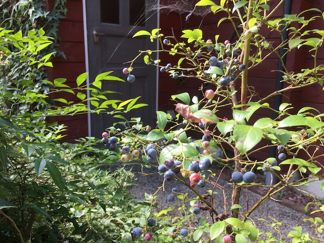 ゲストハウス CHALET SIELU