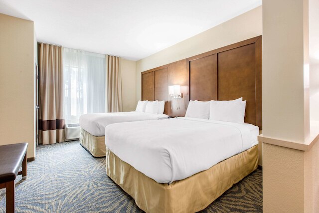 コンフォート スイーツ - サウス オースティン