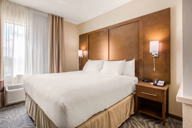 コンフォート スイーツ - サウス オースティン