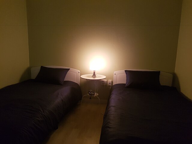 ソウル フォレスト ステイ - ホステル