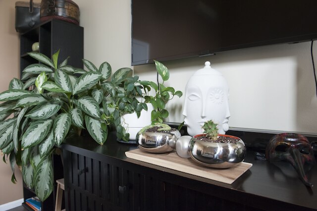 シカゴ タウンホーム